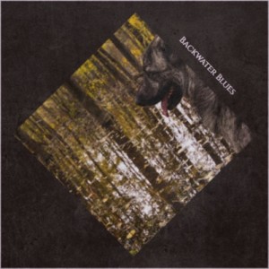 Album Backwater Blues from Various