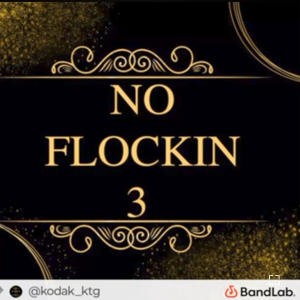 Kodak Black的專輯NI FLOCKIN 3 (Explicit)