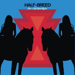 อัลบัม Half Breed (Remix) ศิลปิน DJ Shub