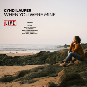 收聽Cyndi Lauper的When You Were Mine (Live)歌詞歌曲