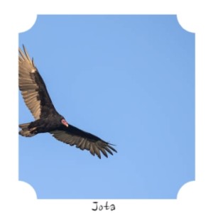 Listen to Jota song with lyrics from Pepe Romero