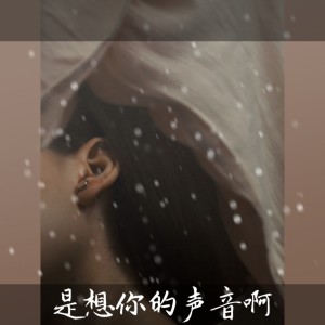 Listen to 是想你的声音啊 (伴奏) song with lyrics from 三七二十一