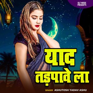 Listen to Yaad Tadpave La song with lyrics from Ashutosh Yadav