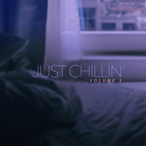 Various Artists的專輯Just Chillin', Vol. 2