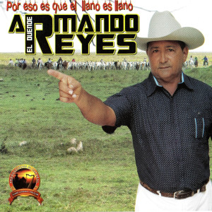 收聽Armando Reyes的Florecita del Sarare Golpe歌詞歌曲