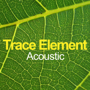 ดาวน์โหลดและฟังเพลง The Gaurdian พร้อมเนื้อเพลงจาก Trace Element
