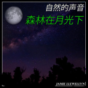 收聽Jamie Llewellyn的自然的聲音: 森林在月光下歌詞歌曲