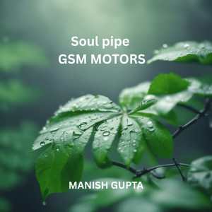Listen to Soul Pipe Gsm Motors song with lyrics from Manish Gupta