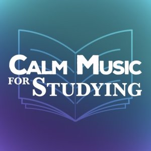 ดาวน์โหลดและฟังเพลง Serenade No. 13 in G Major, K. 525 "Eine kleine Nachtmusik": II. Romanze พร้อมเนื้อเพลงจาก Northern String Quartet