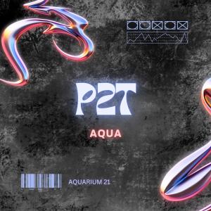 Aqua的專輯P2T (Explicit)