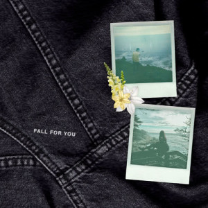 ดาวน์โหลดและฟังเพลง fall for you พร้อมเนื้อเพลงจาก Steve James