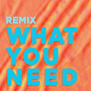 อัลบัม What You Need (Marc Brauner Remix) ศิลปิน Marina Trench