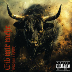 Listen to Gib Mir Mehr (Explicit) song with lyrics from Skogan