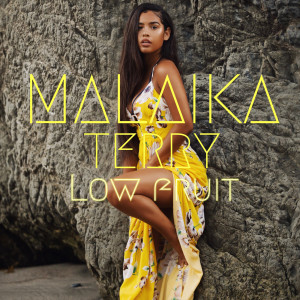 Listen to Low Fruit (Explicit) song with lyrics from Malaika Terry