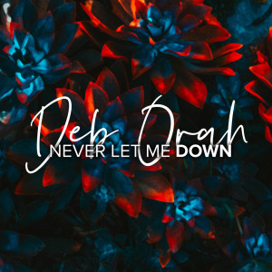 Album Never Let Me Down from Deb Orah