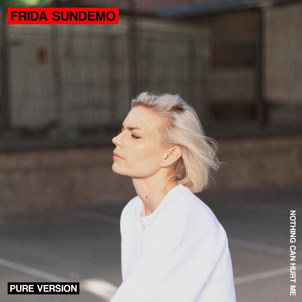 Nothing Can Hurt Me - Pure Version (Pure Version)