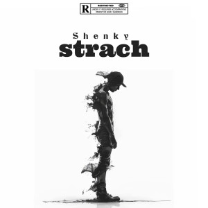 收聽Shenky的Strach歌詞歌曲