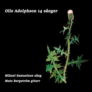 ดาวน์โหลดและฟังเพลง Törnrosa พร้อมเนื้อเพลงจาก Mikael Samuelson