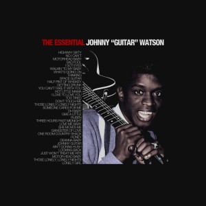 Johnny "Guitar" Watson的专辑The Essential Johnny Guitar Watson