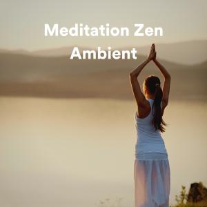 Album Meditation Zen Ambient from Meditation Zen