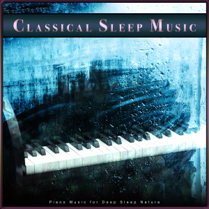 ดาวน์โหลดและฟังเพลง Four Seasons - Classical Deep Sleep Ocean Waves พร้อมเนื้อเพลงจาก Classical New Age Piano Music