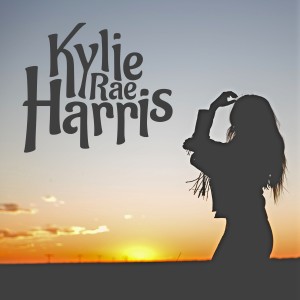 收聽Kylie Rae Harris的Don't Let the Walls Fall Yet歌詞歌曲