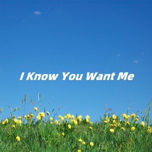 Album I Know You Want Me from Mtyg