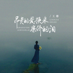 王娜的专辑昂贵的爱换来廉价的泪