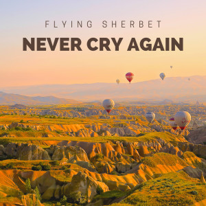 Never Cry Again dari Flying Sherbet