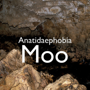 ดาวน์โหลดและฟังเพลง Moo พร้อมเนื้อเพลงจาก Anatidaephobia