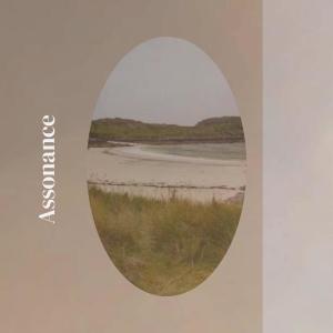 Album Assonance from Various