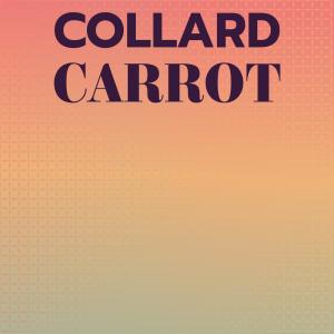 ดาวน์โหลดและฟังเพลง Collard Carrot พร้อมเนื้อเพลงจาก SaiG