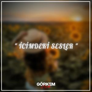 Remix Avcısı的專輯İçimdeki Sesler (Remix)