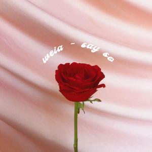 收聽weia的Say So (Explicit)歌詞歌曲