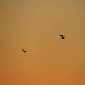 收聽Armand的DONNE-MOI TA MAIN歌詞歌曲