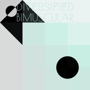 Album Diversified Bimuscular from Various