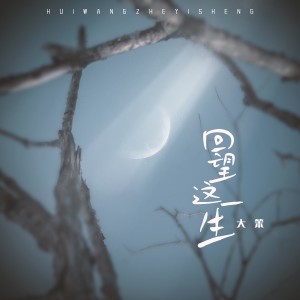收聽大笨的回望這一生 (完整版)歌詞歌曲