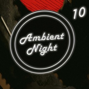 อัลบัม Ambient Nights 10 ศิลปิน Various