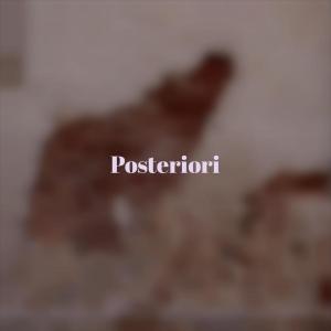 Listen to Posteriori song with lyrics from Fren Deti