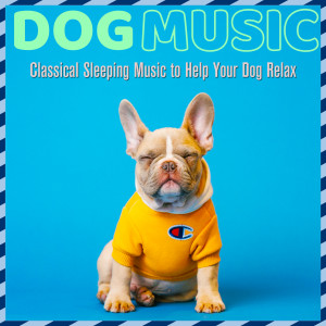 Album Dog Music: Classical Sleeping Music to Help Your Dog Relax oleh Dog Music Dreams
