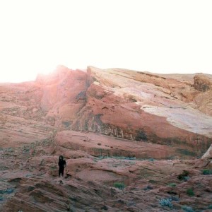 收聽Tamaryn的Mild Confusion歌詞歌曲