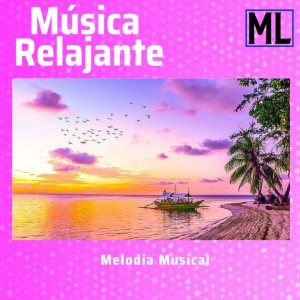 Listen to Amor Propio song with lyrics from Musica Relajante