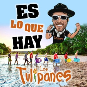 ดาวน์โหลดและฟังเพลง Es Lo Que Hay พร้อมเนื้อเพลงจาก Los Tulipanes