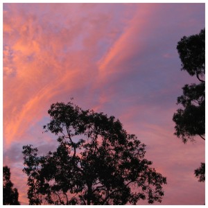 Album New Places from T V S N