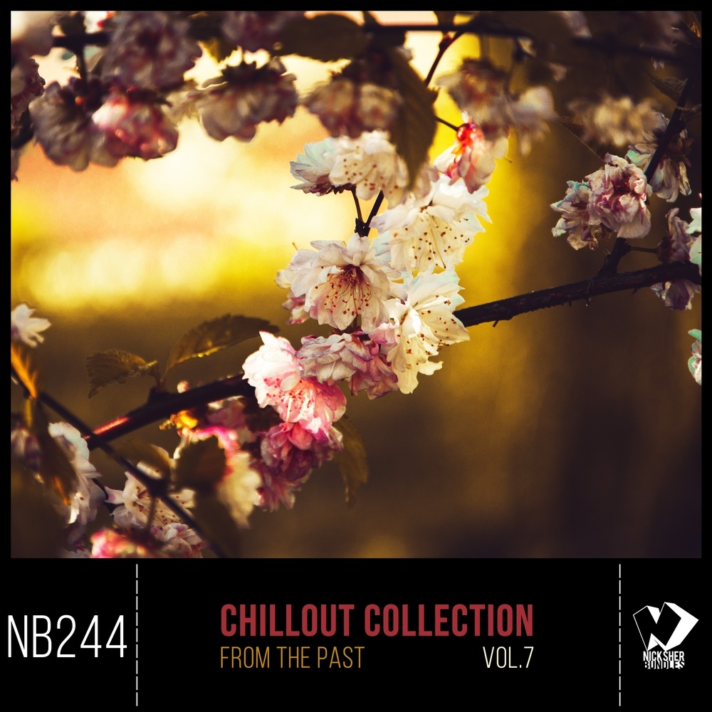 Dive into My World (Original Mix)