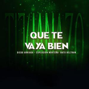 ดาวน์โหลดและฟังเพลง Que Te Vaya Bien (feat. Explosion Norteña & Bato Beltran) พร้อมเนื้อเพลงจาก Diego Arriaga