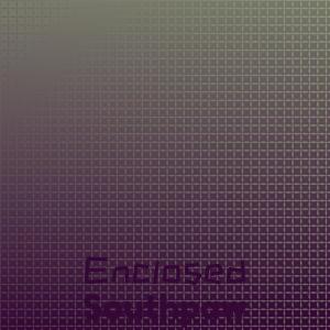 Various Artists的專輯Enclosed Southpaw