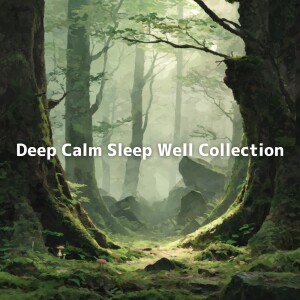 Deep Calm Sleep Well Collection dari Mozart Brahms Lullaby