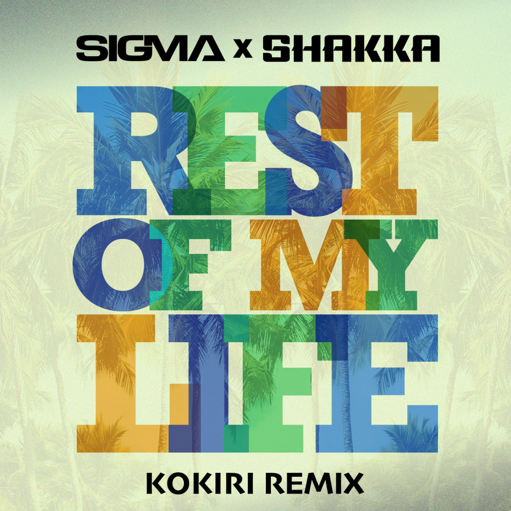 Rest Of My Life (Kokiri Remix)