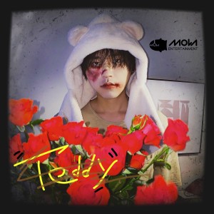 Album 泰迪 from Eer